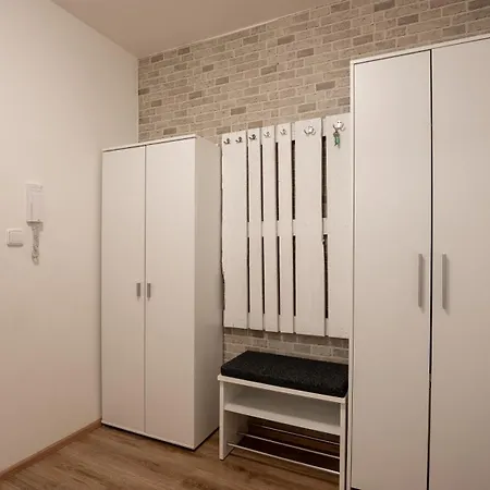 Moderni V Srdci Brna S Moznosti Parkovanim * Komarov